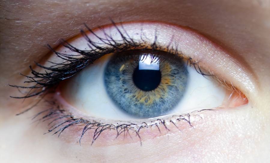 Факты о человеческих глазах - фотография