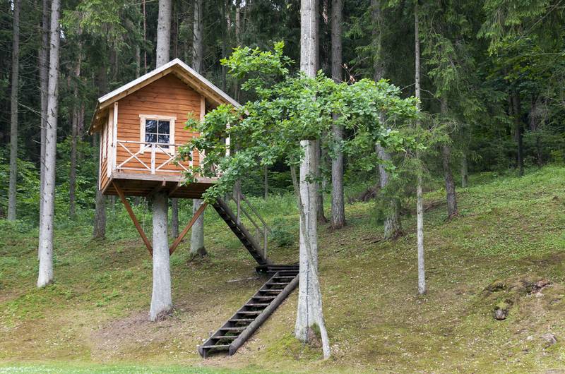 Ландшафтный дизайн: как сделать домик на дереве - фотография