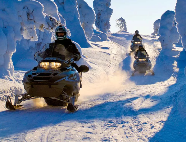 Стоит ли кататься на снегоходах в Швеции - фотография
